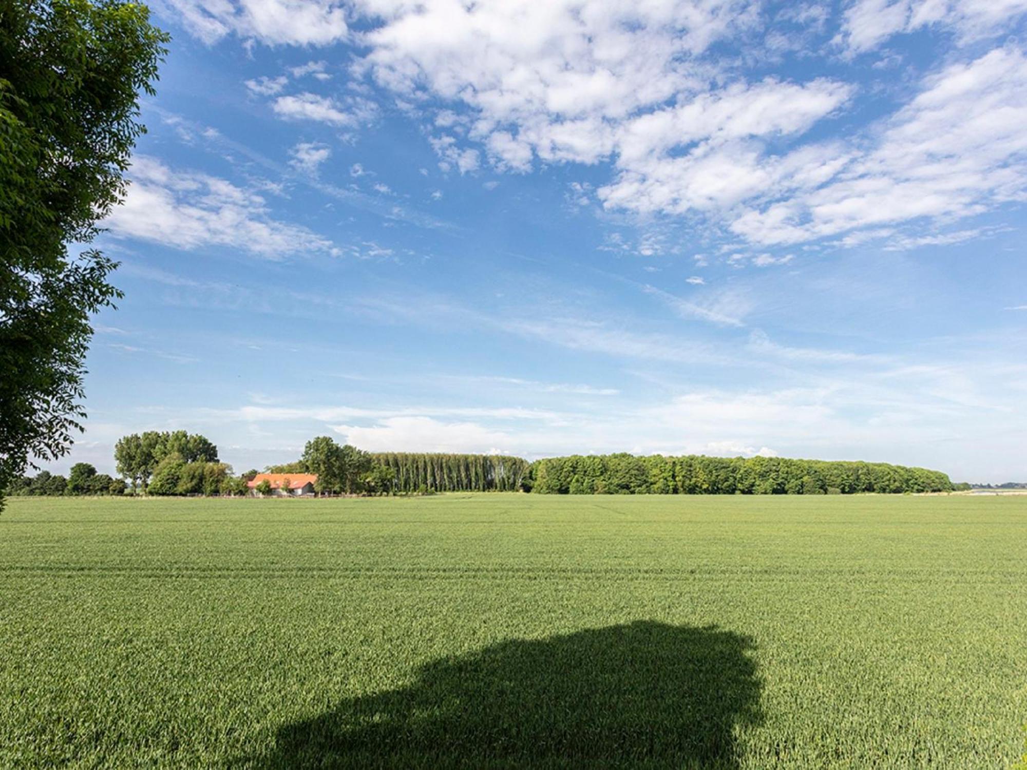 Holiday Home Polderzicht By Interhome Zuid-Beijerland Kültér fotó